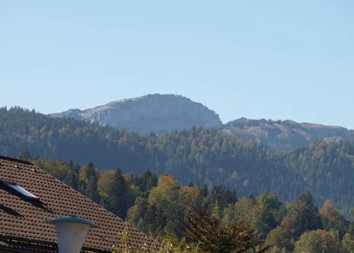 Alpenflair Ferienwohnungen, Whg 225 Gipfelblick *